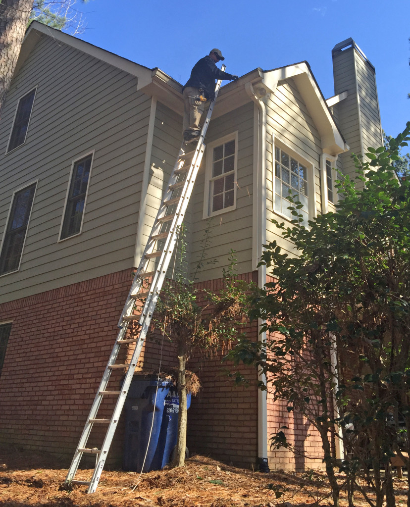 Surguard Exterminating Canton North Pest Control